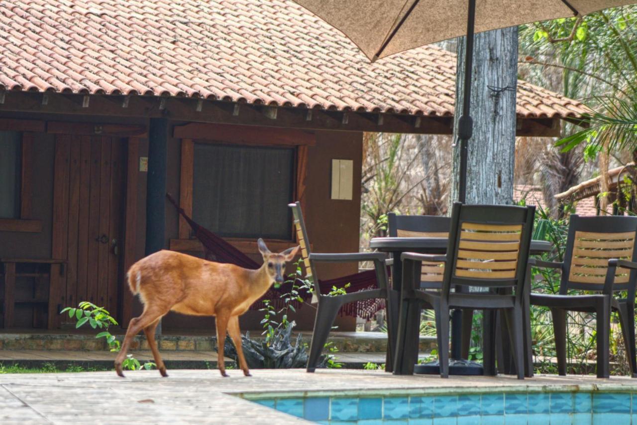 Aymara Lodge โปโกเน ภายนอก รูปภาพ