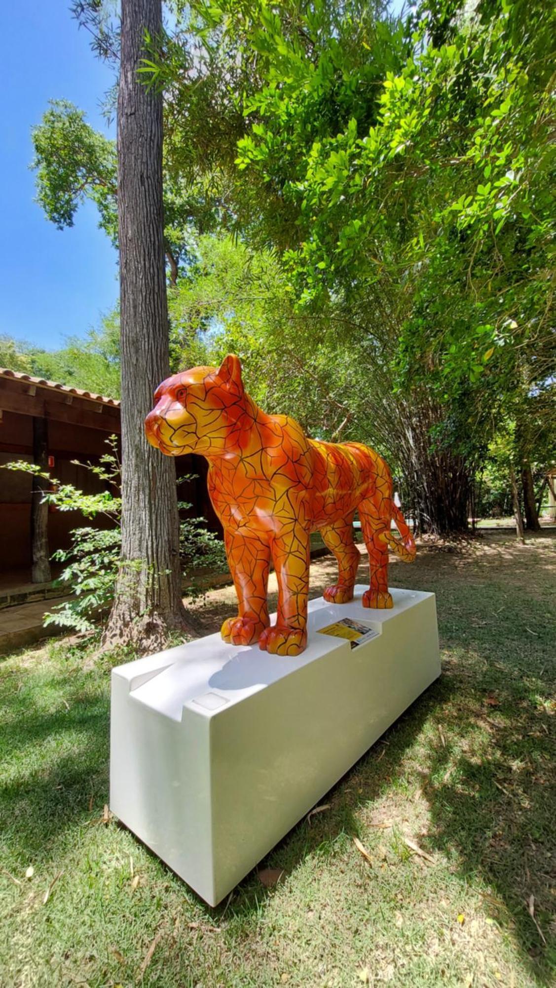 Aymara Lodge โปโกเน ภายนอก รูปภาพ