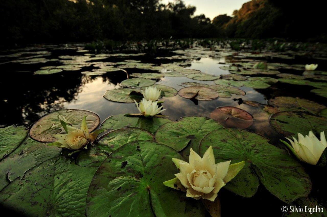 Aymara Lodge โปโกเน ภายนอก รูปภาพ